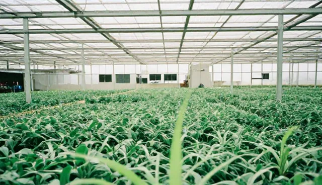 品牌策划效果评估如何影响实际应用场景？